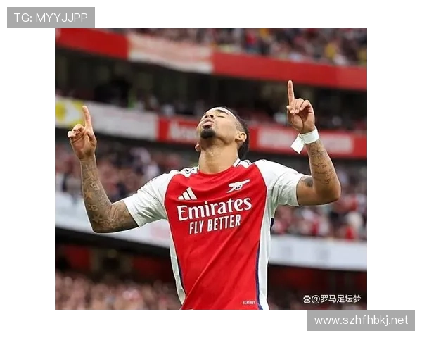 转会受挫亦有转机西汉姆联观察